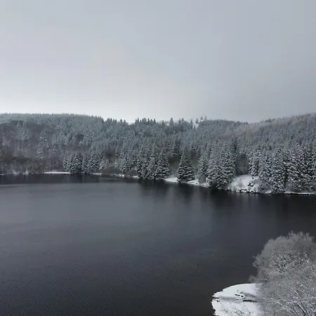 Longere 7 Personnes - 4 - 3 Sdb Orcival Feriehus